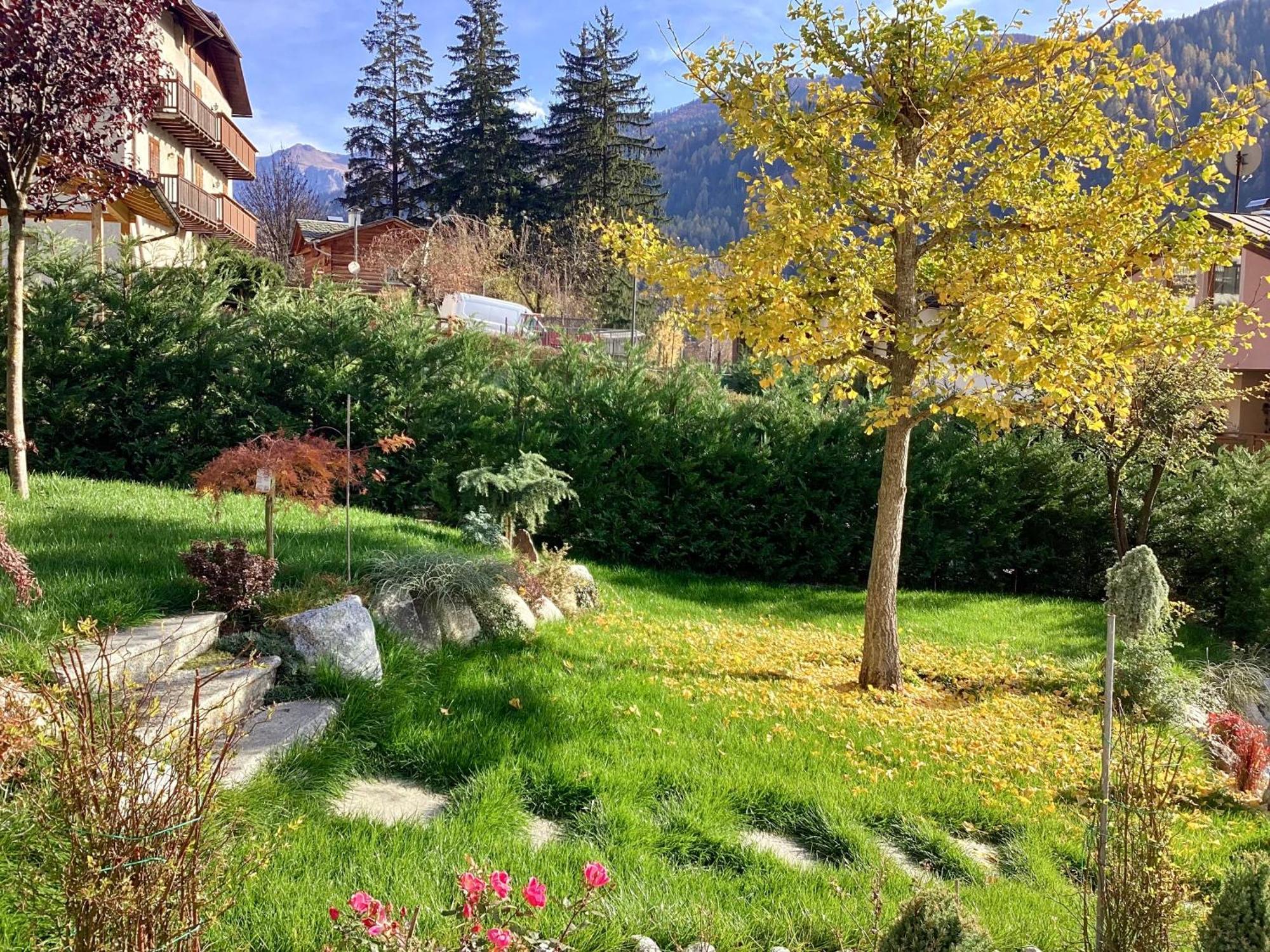 B&B Villa Paradiso Mezzana  Bagian luar foto